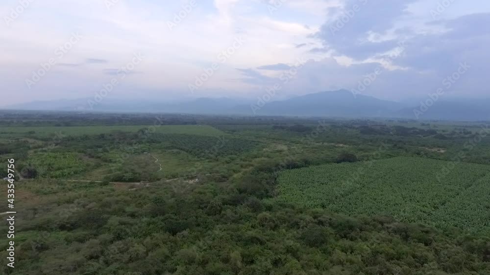 Palm fields and native forests in Colombia