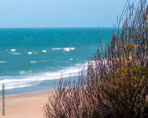Fototapeta Naklejka Na Ścianę i Meble -  dunes and sea