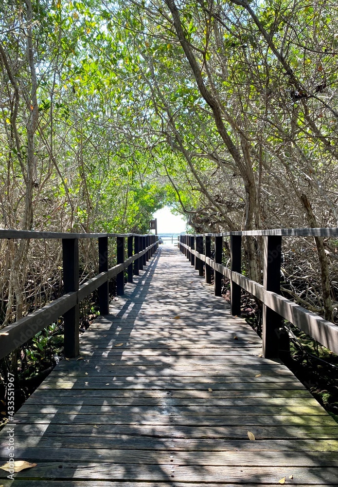 wooden bridge in the park wooden bridge in the park