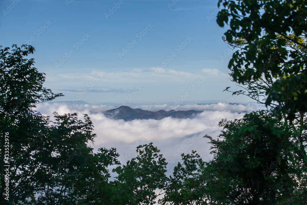 Fog covering the mountain at Pa hin ngam national park view point, Chaiyaphum, Thailand.