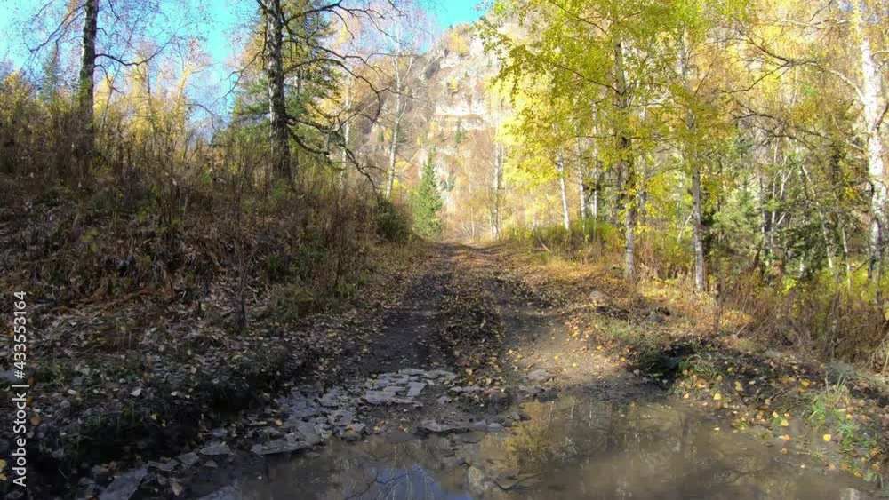 Video of driving along muddy mountain road along Altai river Kumir in Autumn. Video of driving along muddy mountain road along Altai river Kumir in Autumn.