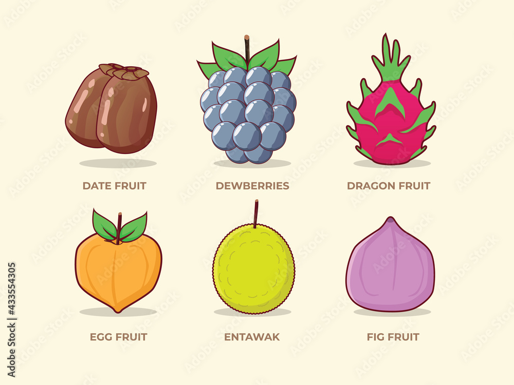 Fruit Set Illustration Of Various Fruits Date Fruit Dewberries Dragon Fruit Egg Fruit fruit-set-illustration-of-various-fruits-date-fruit-dewberries-dragon-fruit-egg-fruit