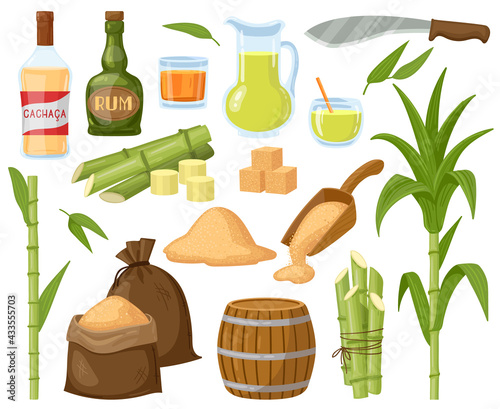 Cartoon sugar cane. Sugarcane leaf plants, sugar cubes, granulated sugar and rum alcoholic liquid vector illustration set. Natural sugar cane products