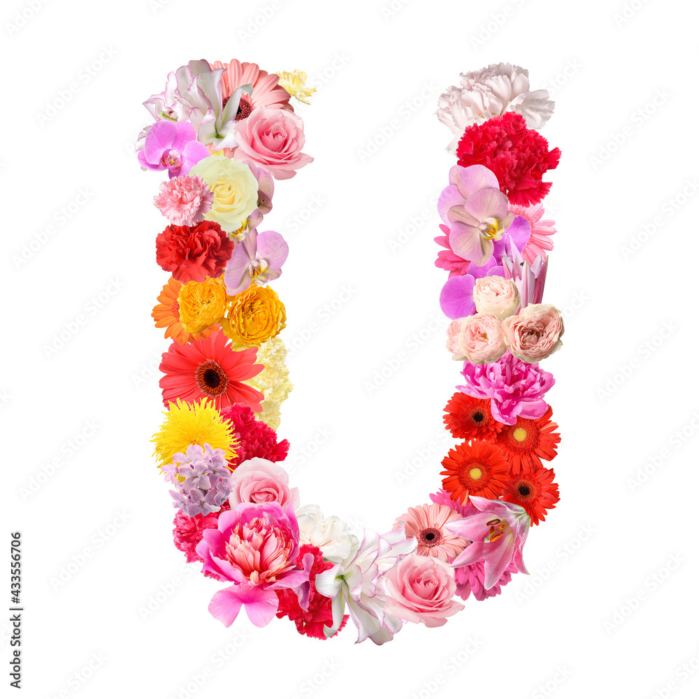 Letter U made of beautiful flowers on white background