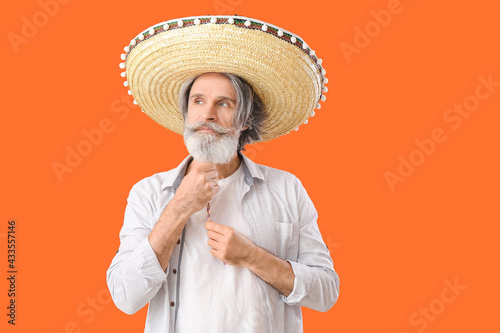 Senior man in sombrero hat ...