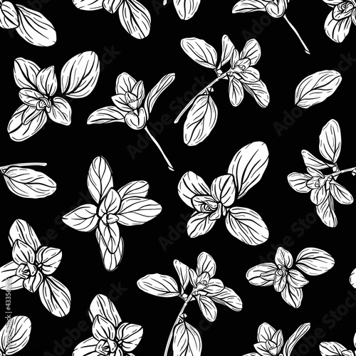  Basil Seamless Pattern. Italian herbs.A sprig of marjoram. Basil is a fragrant and fragrant seasoning. Hand-drawn illustration