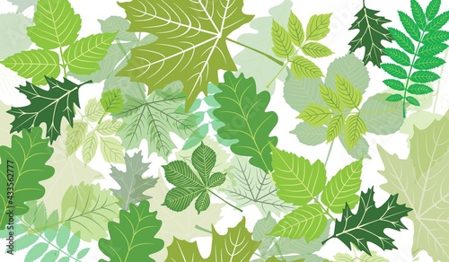 Green leaves seamless pattern background © Paolo