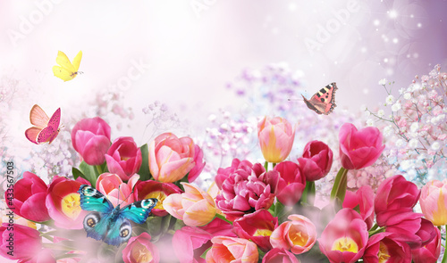 Beautiful delicate floral composition with pink tulips and fluttering butterflies. Greeting holiday card with flowers. © Laura Pashkevich