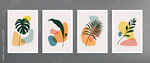 Series of vector wall art posters on a botanical theme. Set of hand drawn line of foliage and geometric shapes. Abstract plant design for prints, covers, wallpapers, minimalistic and natural wall art.