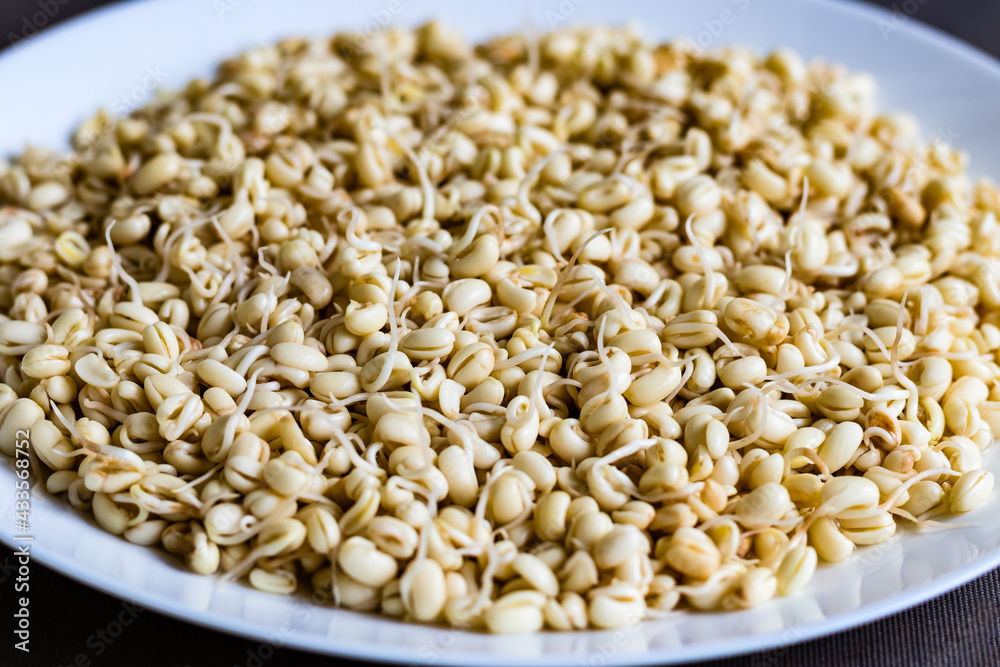 soaked sprouted peeled red lobia soaked sprouted peeled red lobia