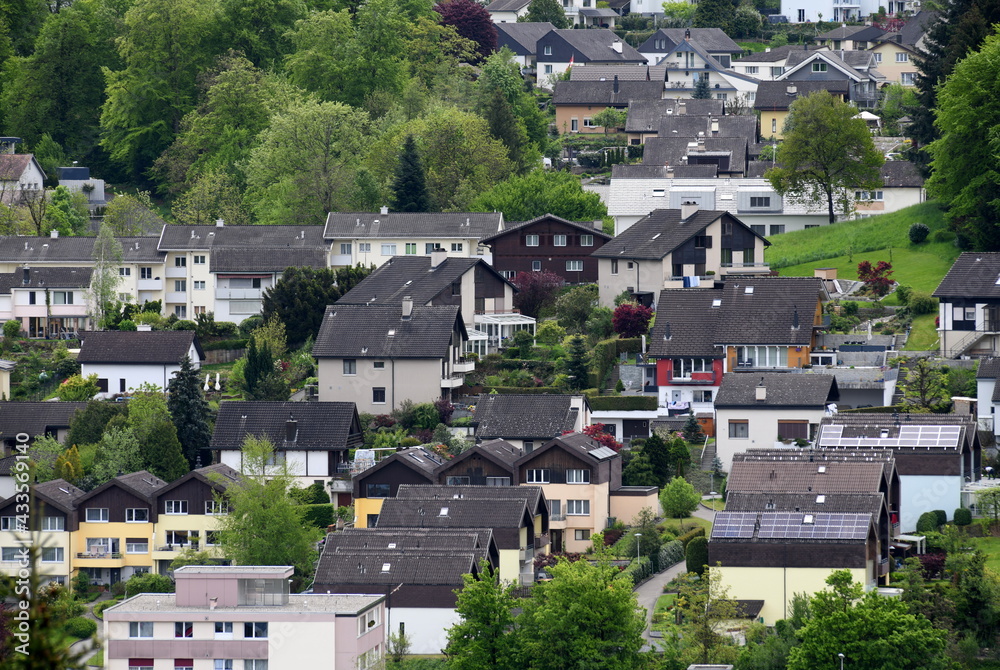 Fototapeta premium houses in the village