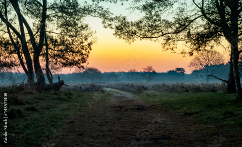 Sunrise in Drenthe "Groote Zand" Hooghalen