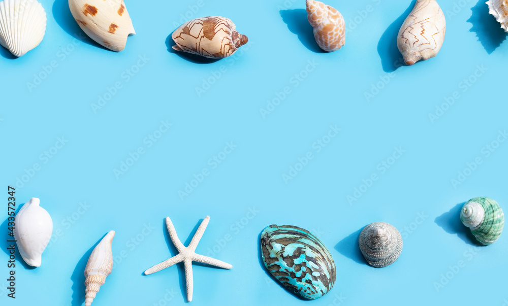 Frame made of starfish and exotic sea shells on blue. Summer background. Concept Frame made of starfish and exotic sea shells on blue. Summer background. Concept