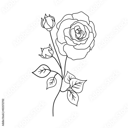 Isolated branch of flowering rose in contour style. Vector illustration flowers.