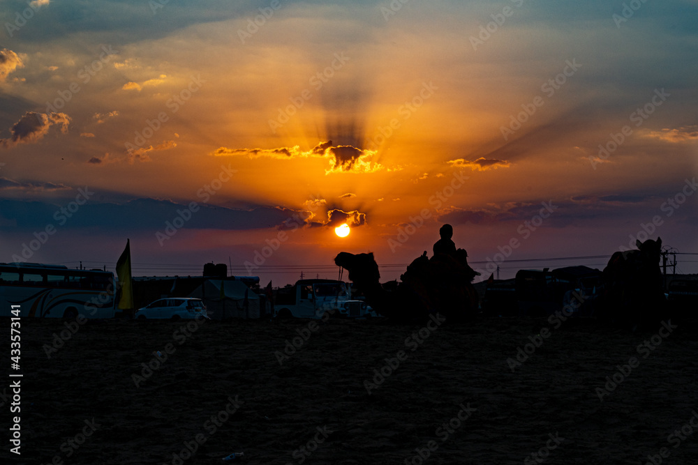 Naklejka premium silhouette Photograph of camels in Jaiselmer during sundown, orange hour.