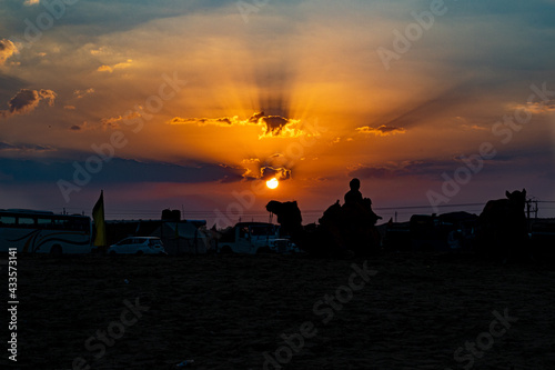 silhouette Photograph of camels in Jaiselmer during sundown  orange hour.