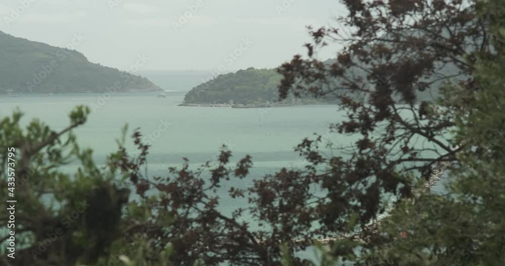 Wind-blown tree branches.Background of the Ligurian sea, with the Portovenere point near the Cinque Terre. Wind-blown tree branches.Background of the Ligurian sea, with the Portovenere point near the Cinque Terre.