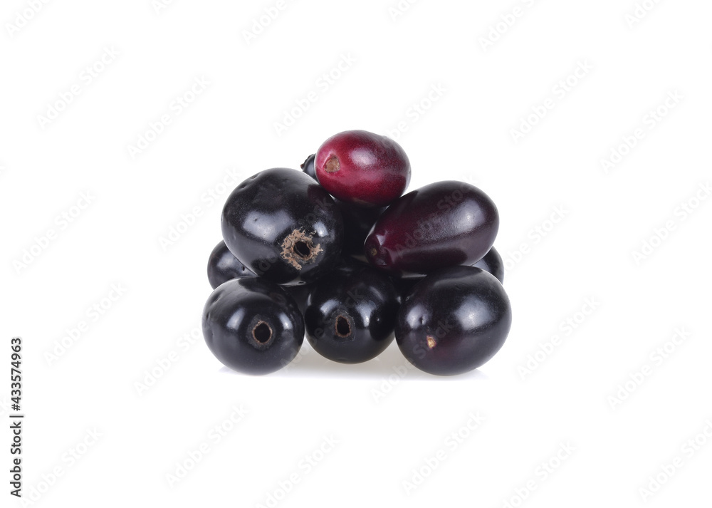 Jambolan plum or Java plum on white background. Jambolan plum or Java plum on white background.