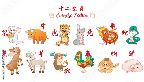 Funny animal in the Chinese zodiac, Rat, ox, tiger, rabbit, dragon, snake, horse, sheep, monkey, rooster, dog, pig. Chinese calendar(translation 12 chinese zodiac)cartoon vector illustration