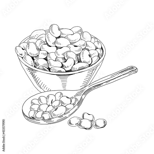 Soy beans in bowl and spoon, retro hand drawn vector illustration.