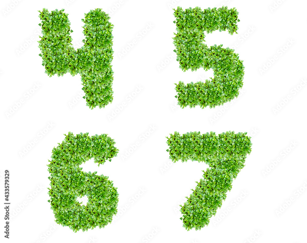 Numbers 4, 5, 6, 7 made of lawn grass Numbers 4, 5, 6, 7 made of lawn grass
