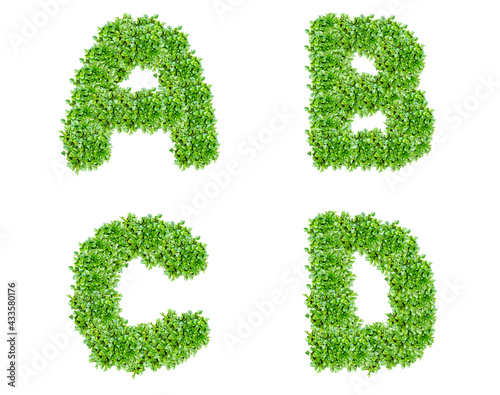 The letters A  B  C  D are made of lawn grass