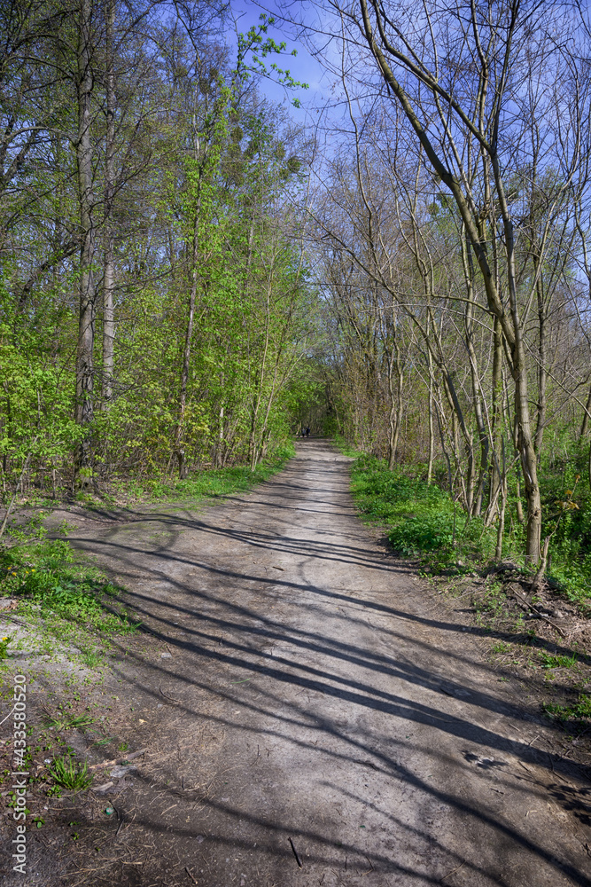 Lviv city spark in the early spring season Lviv city spark in the early spring season