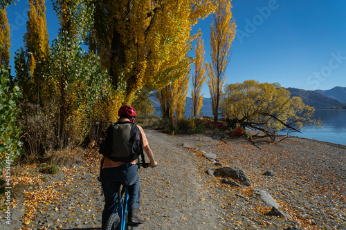 A man riding the bike on the Wanaka lakeside track among the autumn trees © Janice