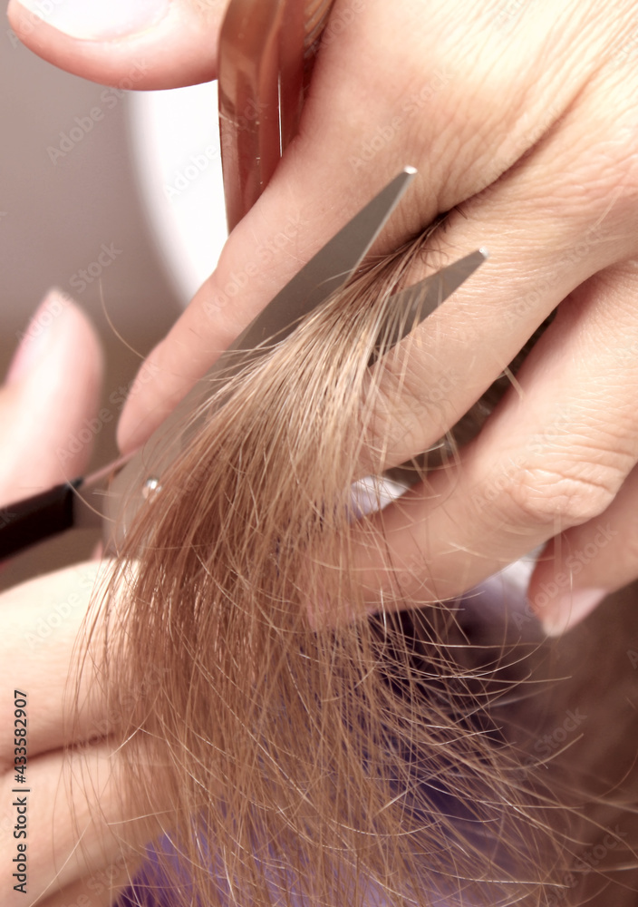 Fototapeta premium Hand of hairdresser cuts hair of woman close up in beauty salon.