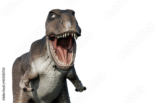 tyrannosaurus rex isolated on white