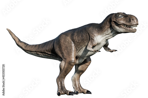 tyrannosaurus rex isolated on white © aleciccotelli