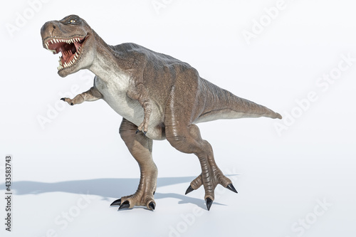 Fototapeta Naklejka Na Ścianę i Meble -  tyrannosaurus rex isolated on white