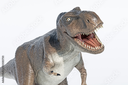 Fototapeta Naklejka Na Ścianę i Meble -  tyrannosaurus rex isolated on white
