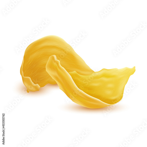 Edible-Nest Swiftlet, Drop of saliva from a bird's nest. Premium grade health food supplement. Bird's nest is made from the saliva of a bird backed. Vector Eps10