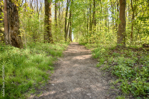 Lviv city spark in the early spring season