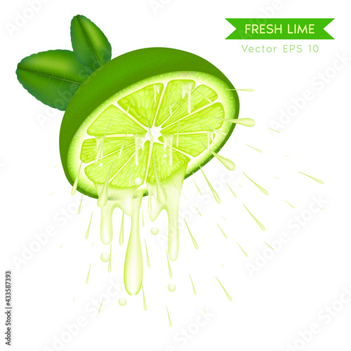 Realistic half fresh lime slice with drops of juice juicy fruit lemon. 3D Vector EPS10 illustration.