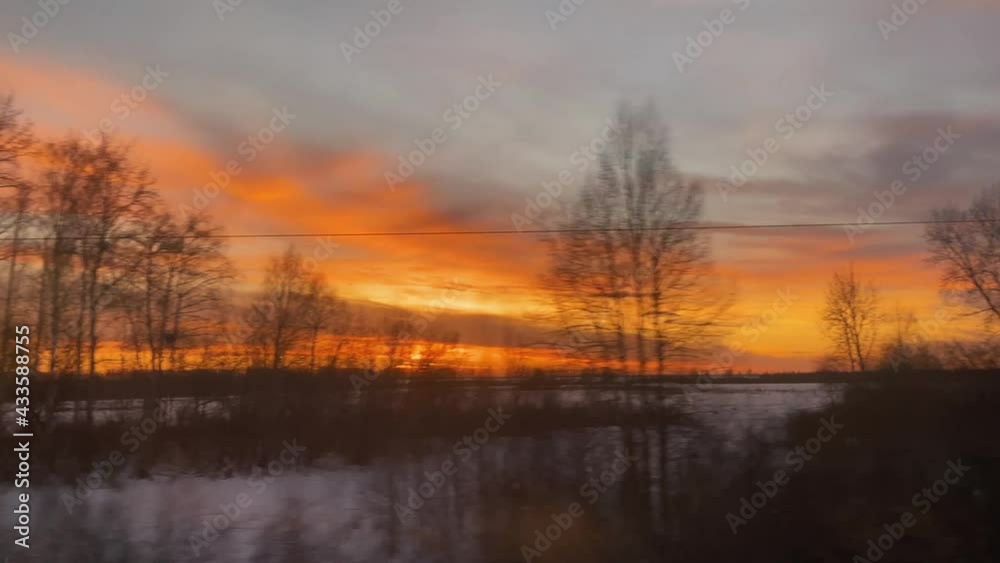 High bare trees with crows nests in snowy valley against bright orange and yellow sunset view through driving train window High bare trees with crows nests in snowy valley against bright orange and yellow sunset view through driving train window