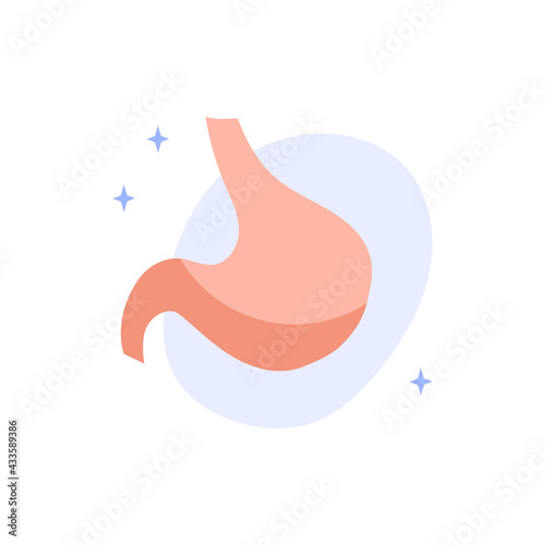 Healthy stomach. Gastroenterology. Vector flat illustration. Perfect for flyer, medical brochure, banner, landing page, website