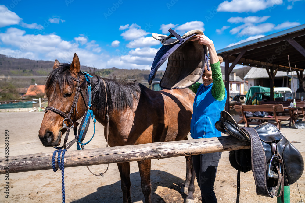 saddled horses on the farm before the ride saddled horses on the farm before the ride