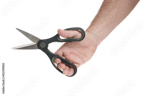 Hand holds kitchen scissors on a white background