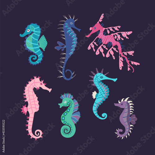 Fototapeta Naklejka Na Ścianę i Meble -  Set colorful seahorses. Pretty seahorses different silhouette on dark background. For festive card, logo, children, pattern, tattoo, decorative, creative concept. Cartoon vector illustration