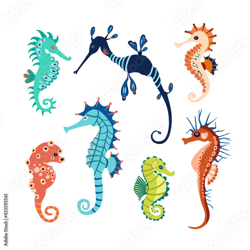 Fototapeta Naklejka Na Ścianę i Meble -  Set colorful seahorses. Pretty seahorses different silhouette on white background. For festive card, logo, children, pattern, tattoo, decorative, creative concept. Cartoon vector illustration