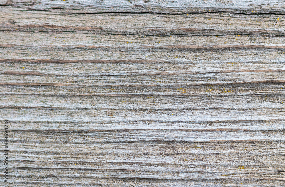 Old grey wood background. Copy space. Old grey wood background. Copy space.