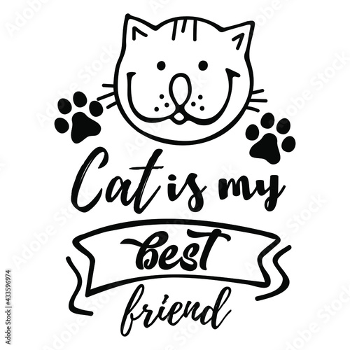 Black and white cat's quote. Inspirational phrase about cat, and domestic pets. Lettering for poster. Vector illustration.