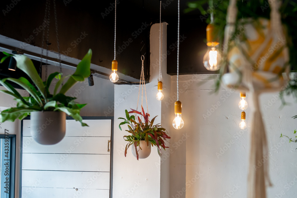 観葉植物 カフェ レストランのインテリア Stock Photo Adobe Stock