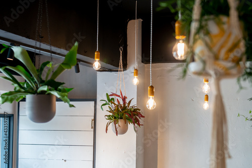 観葉植物　カフェ・レストランのインテリア
