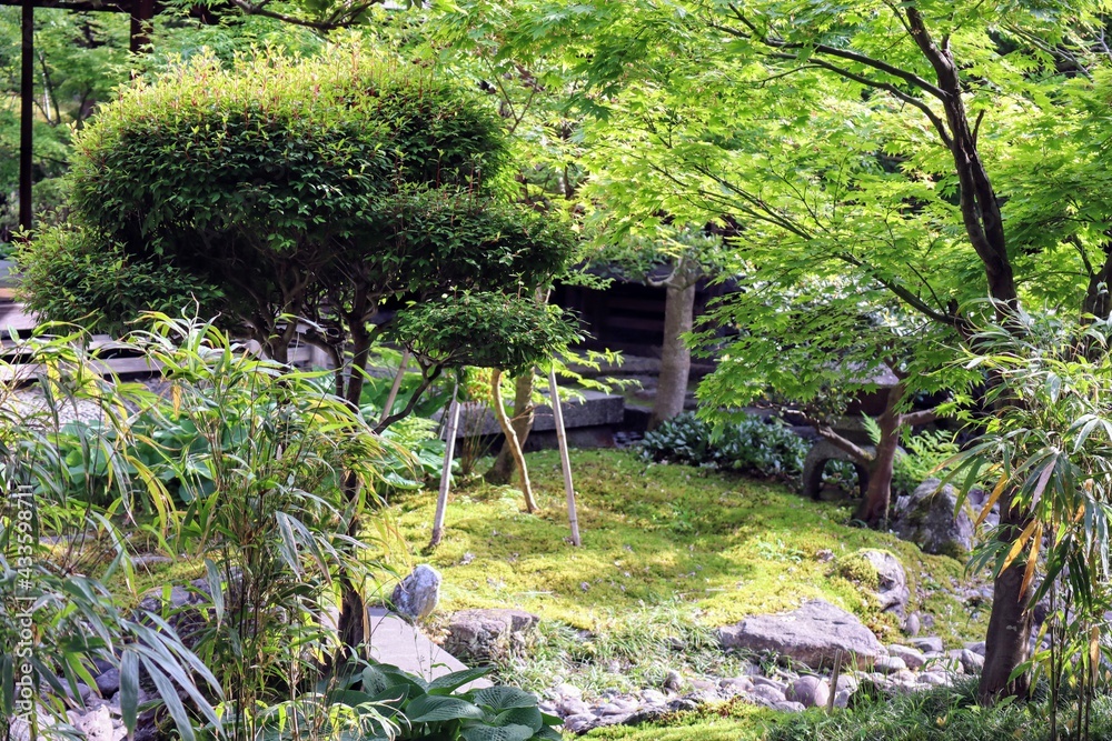 日本の古い家の庭の風景 日本の古い家の庭の風景