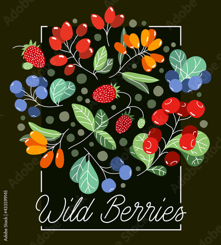 Wild berries fresh and ripe tasty healthy food vector flat style illustration over dark background, delicious vegetation diet eating, organic food.