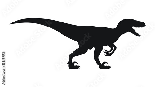Velociraptor silhouette icon sign, Raptor dinosaurs symbol design,  Isolated on white background, Vector illustration photo