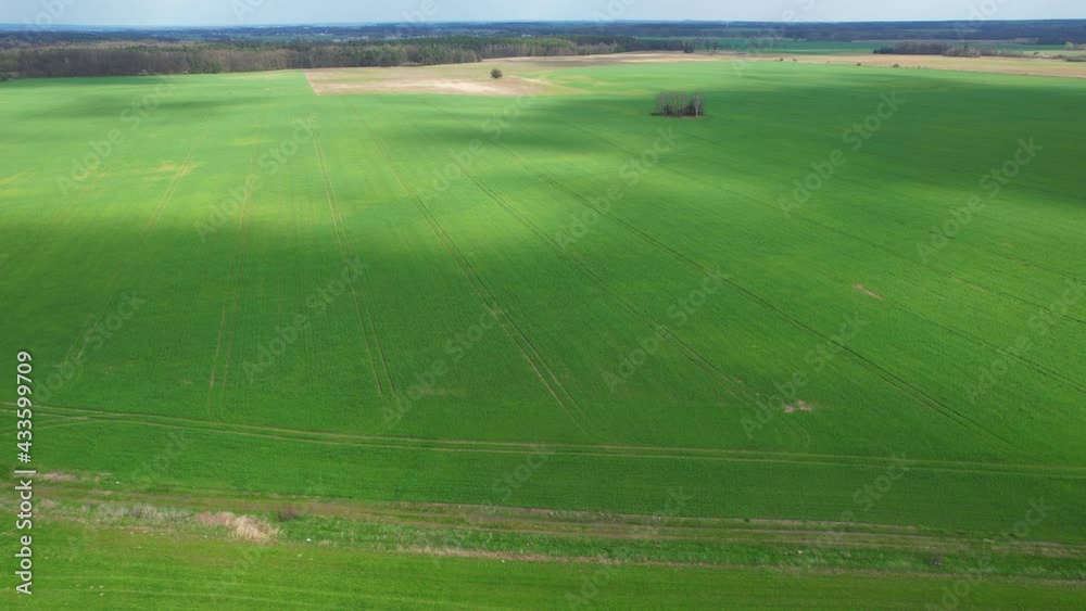 Aerial view of plowed farmland and young crops. The shadows of the clouds move slowly across the ground.